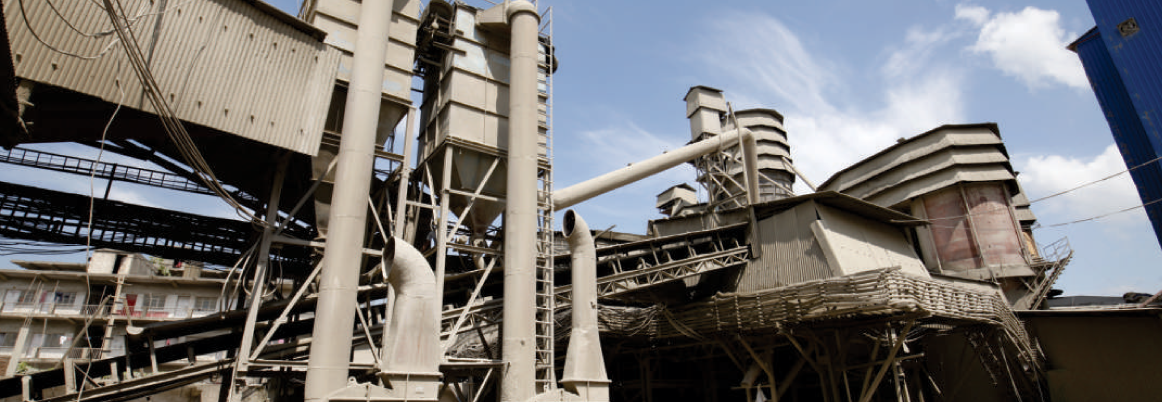 Establishment of Brij Cement Industries